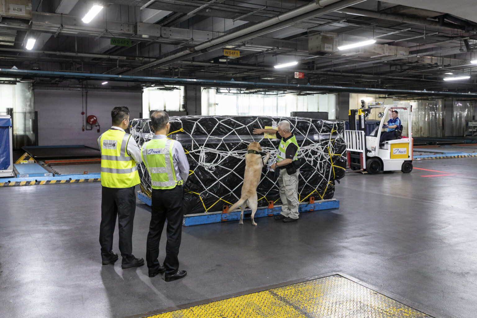 Qatar Airways, Hactl deploy dogs for Libatt search Payload Asia