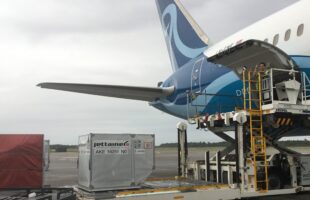 Norse Atlantic Airways extends ULD management partnership with Jettainer