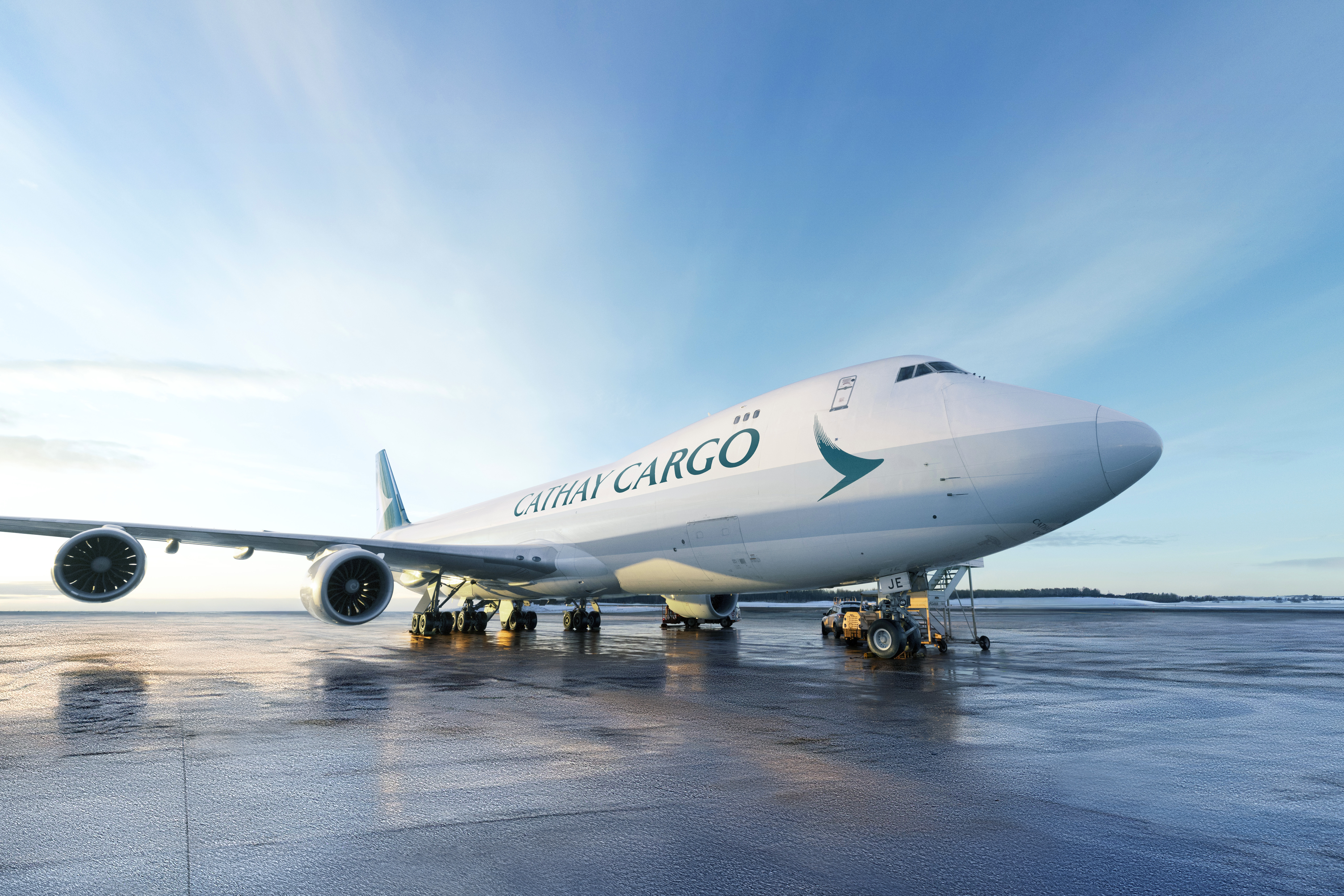 Cathay Cargo’s equine edge: Where live animal logistics meets network optimisation