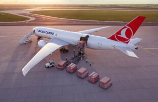 Global GSA Group and Turkish Cargo celebrate outstanding cargo performance